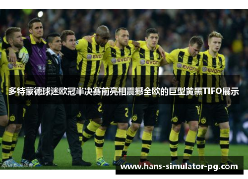 多特蒙德球迷欧冠半决赛前亮相震撼全欧的巨型黄黑TIFO展示